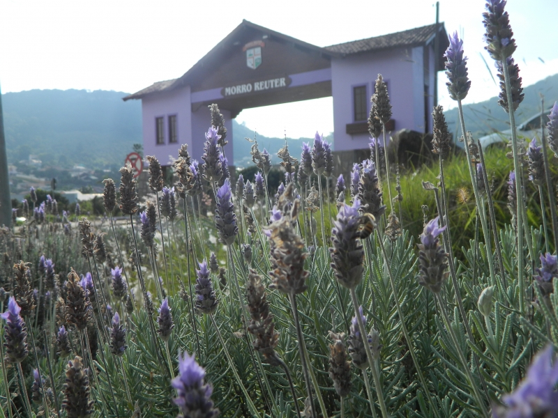 3 cidades da Rota Romântica que vão te encantar5