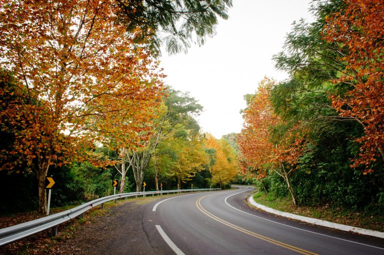 5 pontos turísticos para conhecer no Vale do Sinos