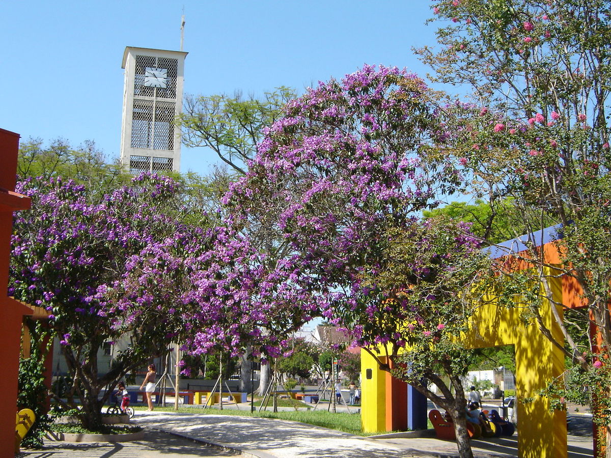 Praça das Rosas